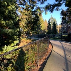 Meet your Posher, Naomi